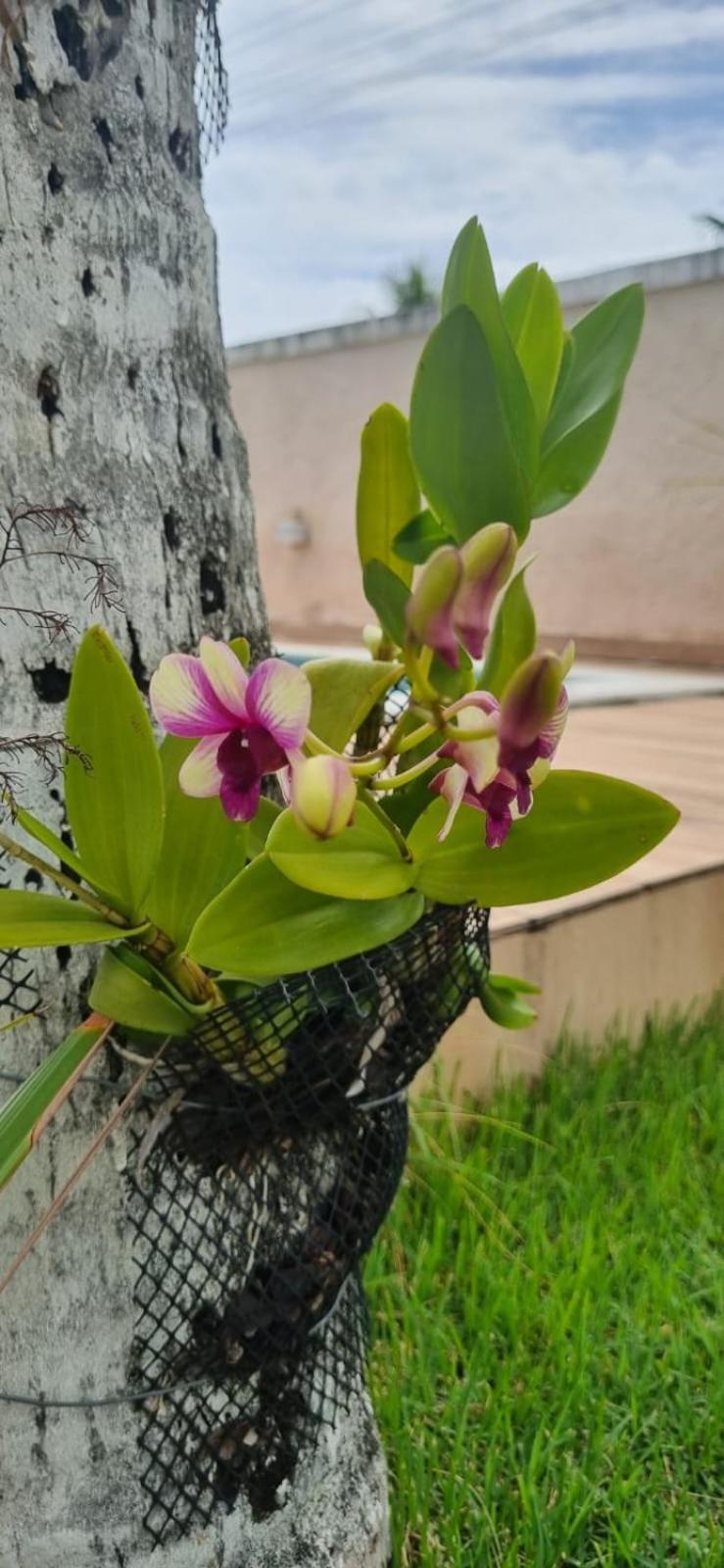 Uma Casa Para O Descanso! Camaçari Eksteriør billede